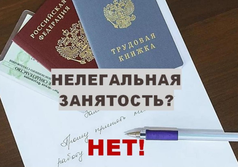 Противодействие нелегальной занятости.